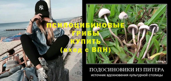 apvp Баксан