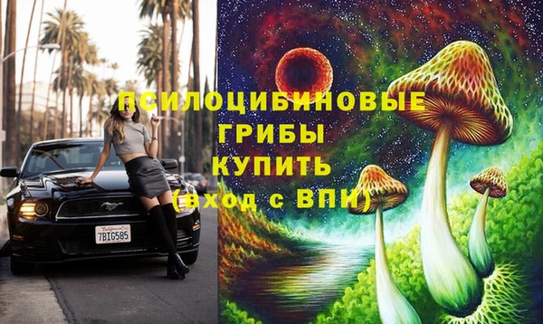 спиды Балахна