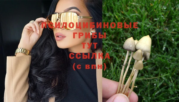 экстази Арсеньев
