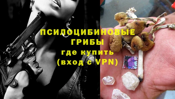 mdpv Корсаков