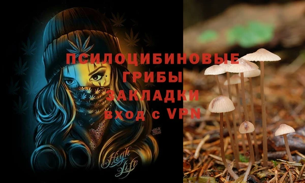 apvp Баксан