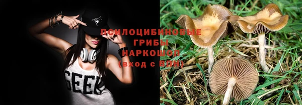 apvp Баксан